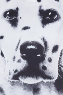 Dalmatian 3D Spotty Dog Girls Shorts Pyjamas Paw Print -All Ages Fashion 34D scaled