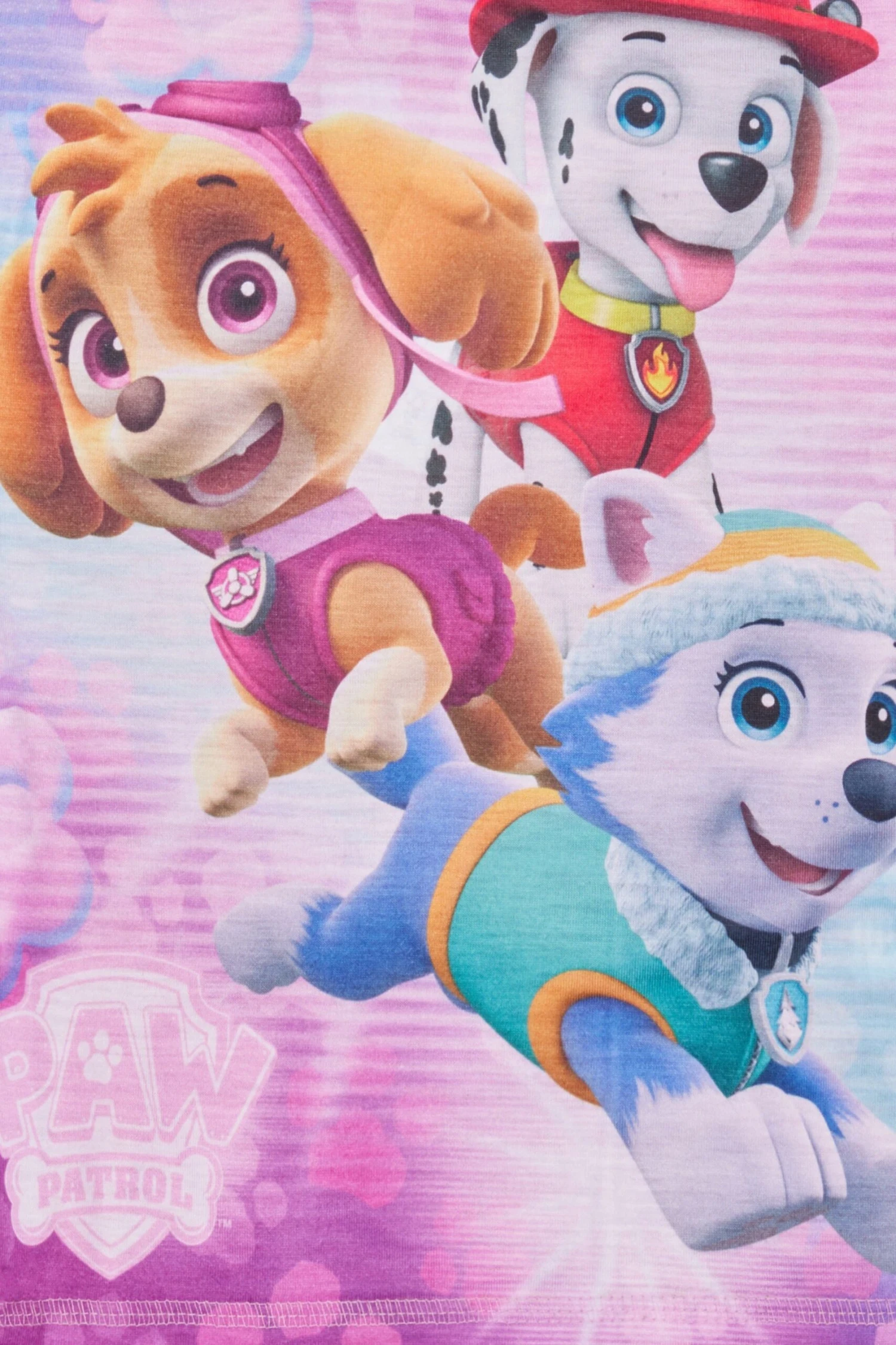 Girls Paw Patrol Long Pink Marshall And Skye Pyjamas 5 Girls Paw Patrol Long Pink Marshall And Skye Pyjamas - Image 5
