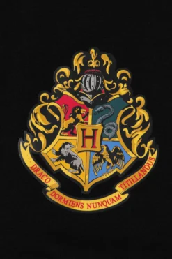 Boys Harry Potter Witchcraft And Wizardry Long Pyjamas 5-6Years -All Ages Fashion PJF200519 100