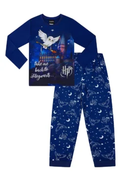 Girls Harry Potter Pyjamas Hedwig Take Me Back To Hogwarts Long Pyjamas Blue -All Ages Fashion PJF200923 84