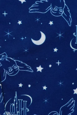 Girls Harry Potter Pyjamas Hedwig Take Me Back To Hogwarts Long Pyjamas Blue -All Ages Fashion PJF200923 85