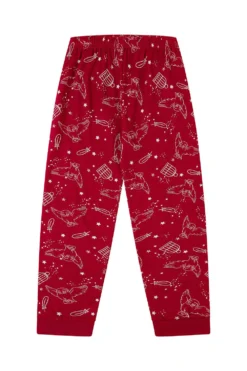 Girls Harry Potter Hedwig I Got My Letter Hogwarts Long Pyjamas -All Ages Fashion PJF200923 88