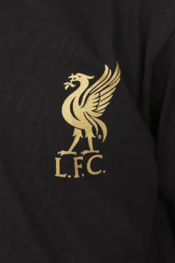 Boys Liverpool F.C Black Gold LFC Long Pyjamas 11 Boys Liverpool F.C Black Gold LFC Long Pyjamas -All Ages Fashion PJF230709 165