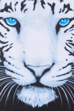 3D Style Tiger Short Pyjamas -All Ages Fashion PJF 06 04 scaled