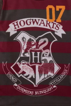 Harry Potter Long Pyjamas 5-6 Years -All Ages Fashion PJF 19 cf1a29a0 10cf 4ae5 8595 066120ee3400 scaled