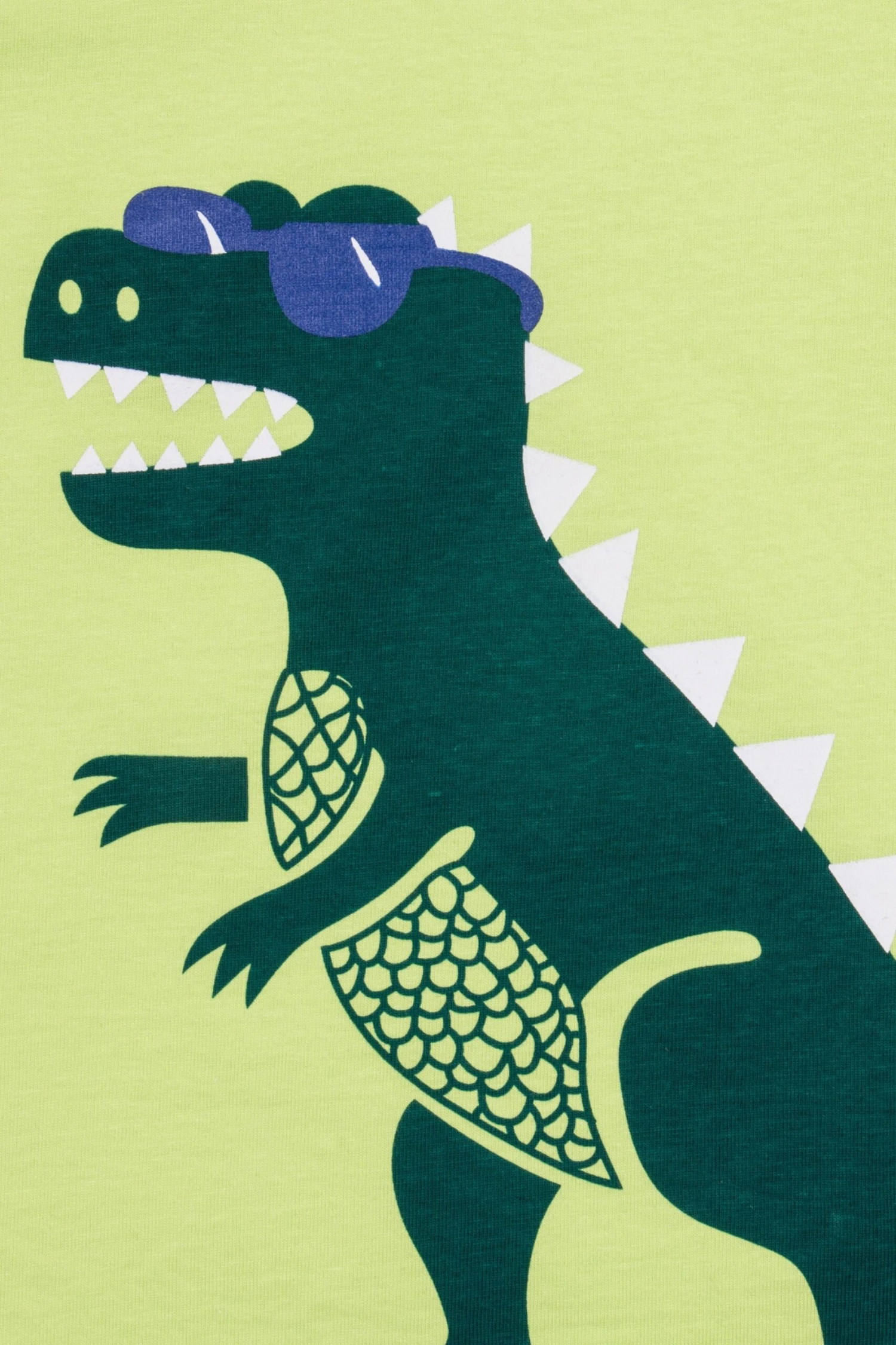 Boys Dinosaur T-Rex Long Pyjamas 6 Boys Dinosaur T-Rex Long Pyjamas - Image 6