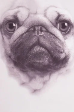 Girls 3D Pug Paw Print Long Pyjamas -All Ages Fashion PJF 2 a673e8d2 b537 49a7 bcb4 9090724e20d5 scaled