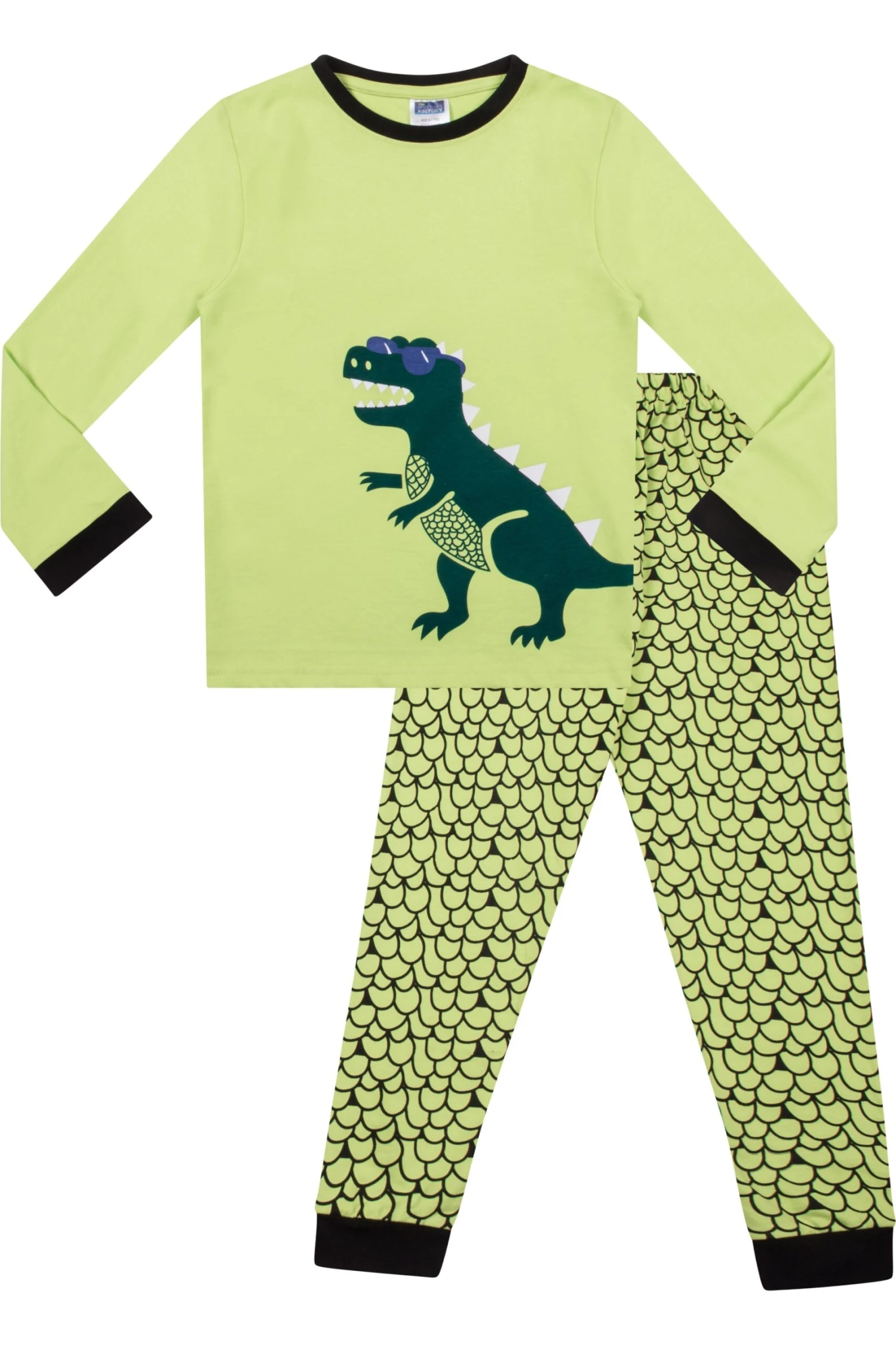 Boys Dinosaur T-Rex Long Pyjamas 1 Boys Dinosaur T-Rex Long Pyjamas