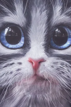 Girls Cat Paw Print Long Pyjamas -All Ages Fashion PJF 94 scaled