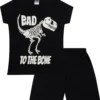 Boys Dinosaur Glow In The Dark Short Pyjamas